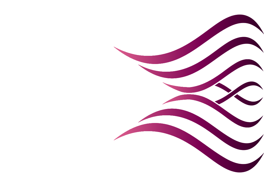 Web design service visual